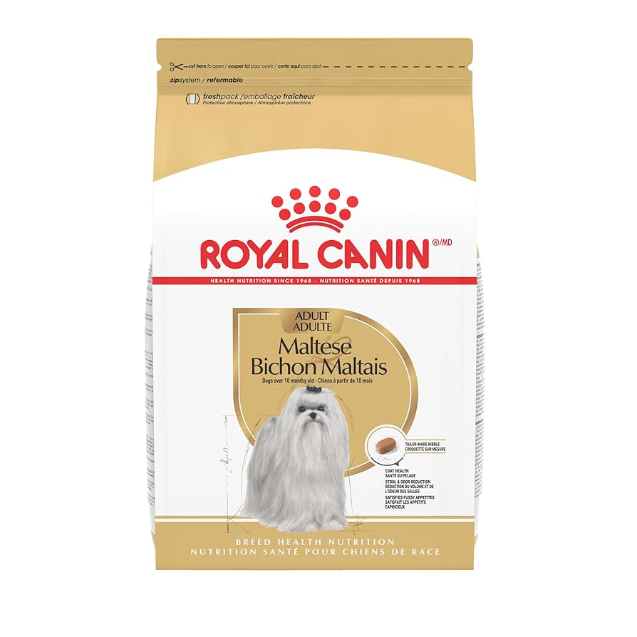When to Switch Maltese to Adult Dog Food