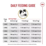 When to Switch Shihtzu Puppy to Adult Dog Food