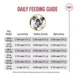When to Switch to Adult Dog Food for English Bulldog