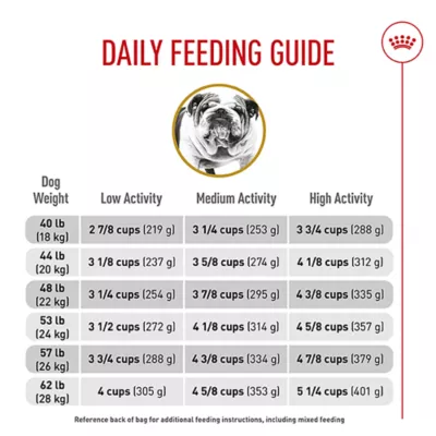 When to Switch to Adult Dog Food for English Bulldog