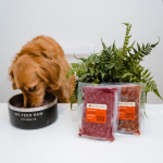 Where Do I Buy Raw Food for My Dog