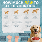 Where Do I Get Raw Food for My Dog