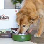 Where to Buy Raw Food for Dogs in Toronto