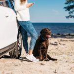 Where to Travel With Dogs