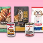 Which Brand of Adult Dog Food is Best