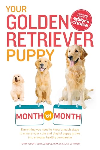 Why are Golden Retrievers the Best Dogs