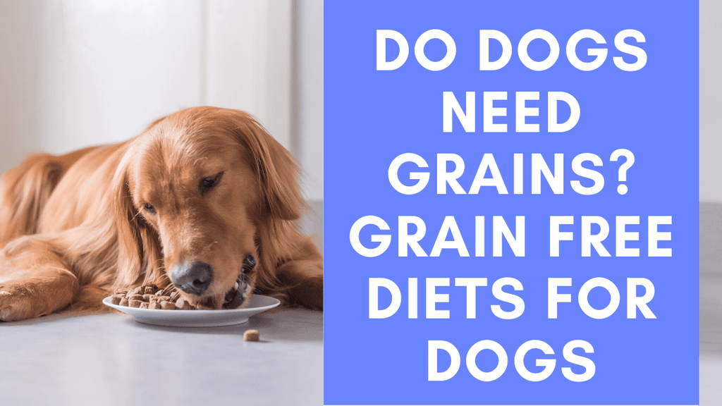 Why Grain Free Diet for Dogs