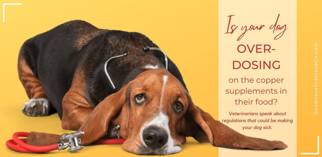 Will Puppy Food Kill Your Adult Dog